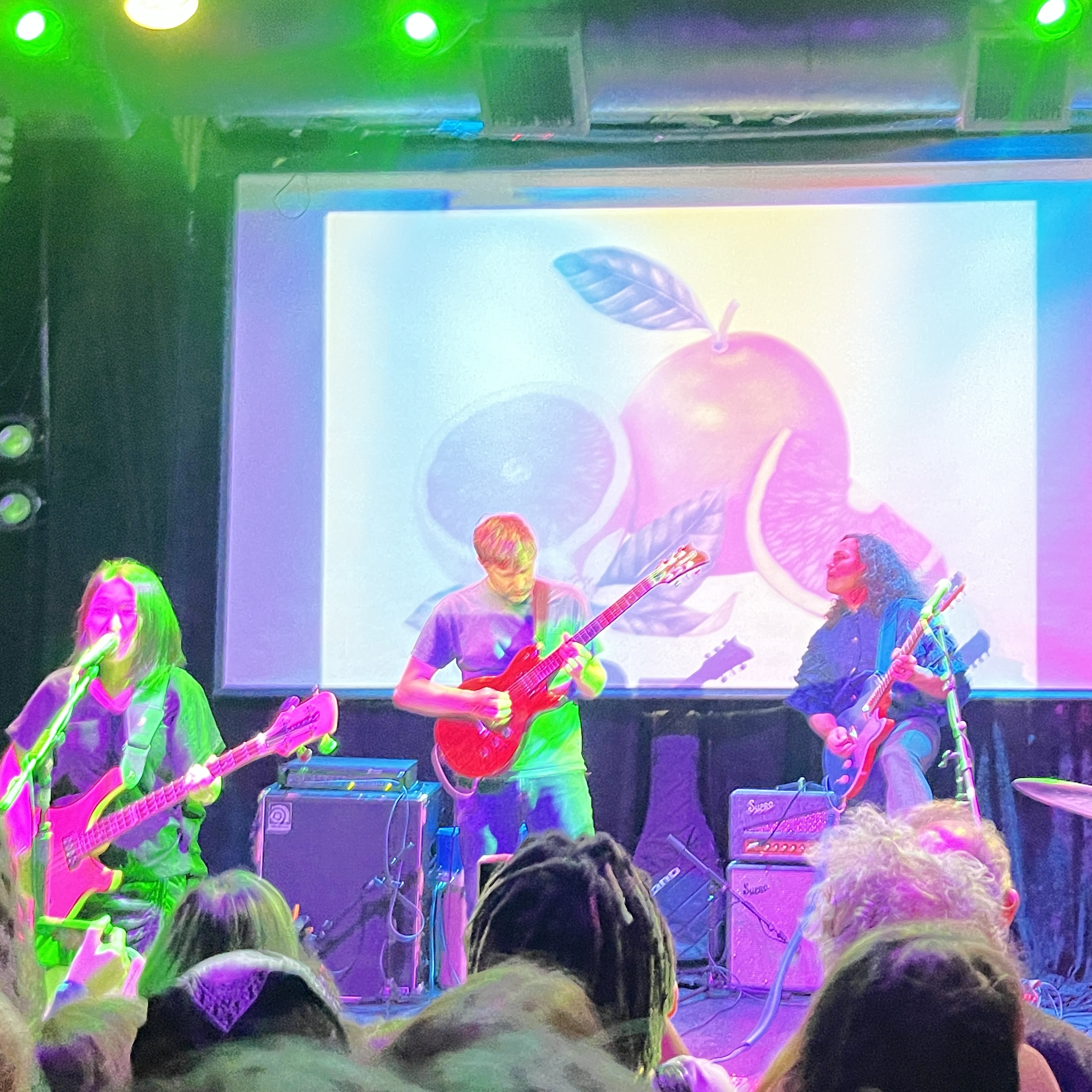 Deerhoof show